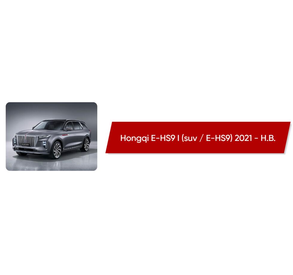 Коврики текстильные в салон Hongqi E-HS9 I (suv / E-HS9) 2021 - Н.В. -  купить в интернет-магазине Автоковрик.ру в Ставрополе